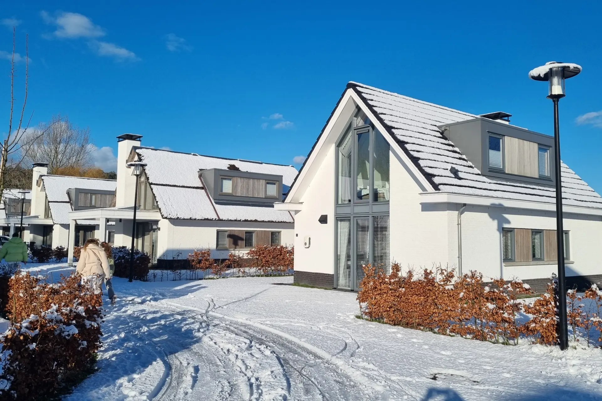 sneeuw in Duyndomein