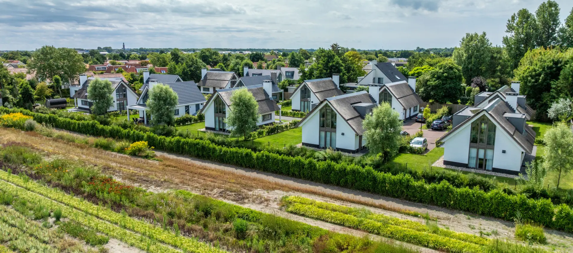 luchtfoto duyndomein
