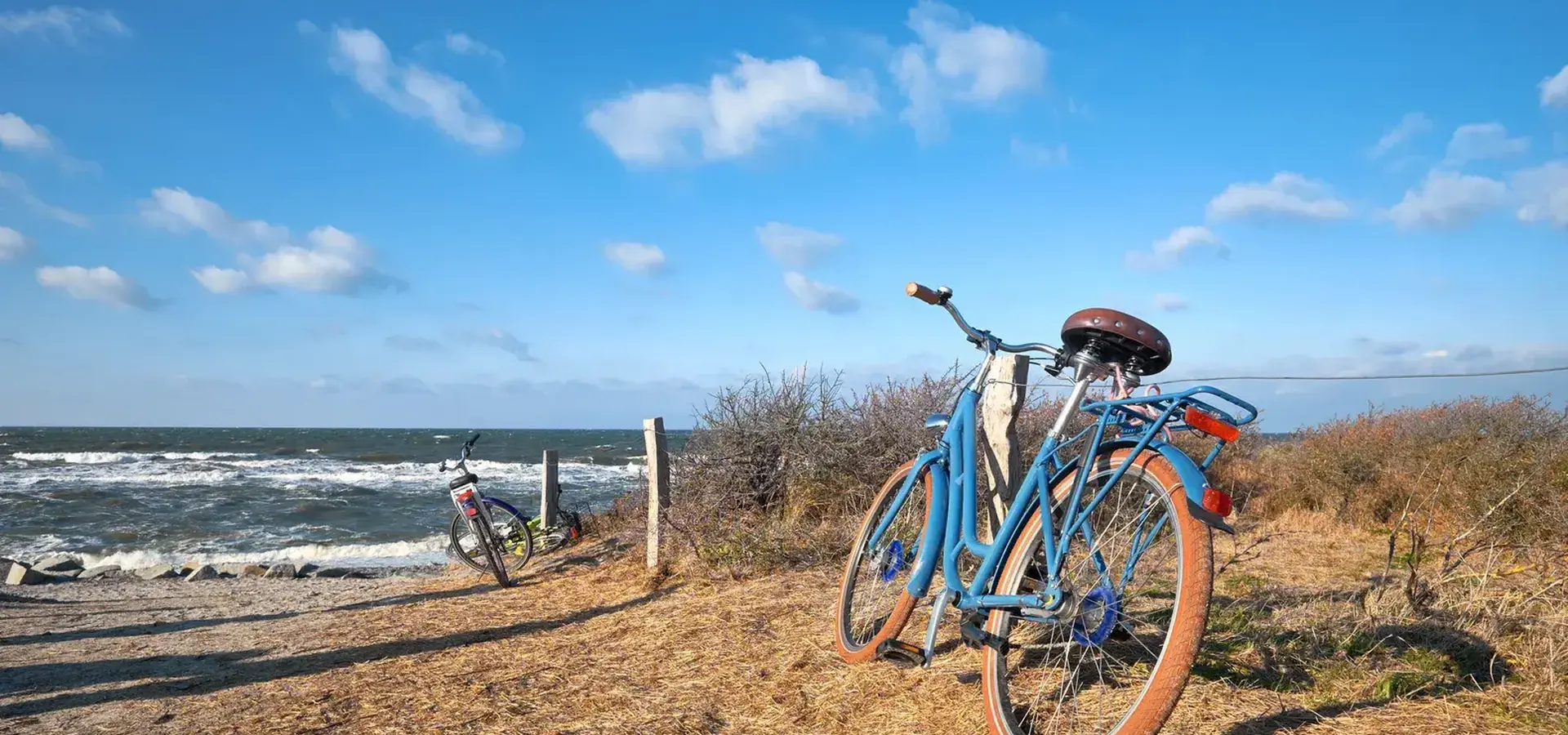 Adobestock 251032640 fietsen duinen strand herfst winter